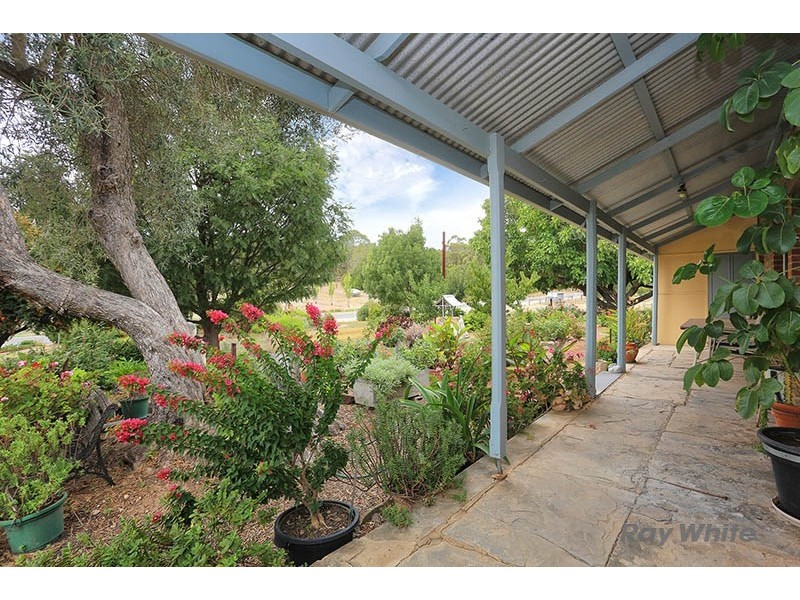 8345 Horrocks Highway, Clare SA 5453