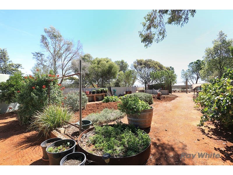 19 New Street, Robertstown SA 5381