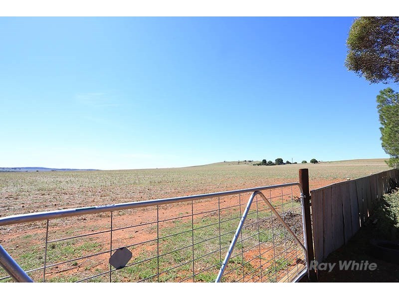 19 New Street, Robertstown SA 5381