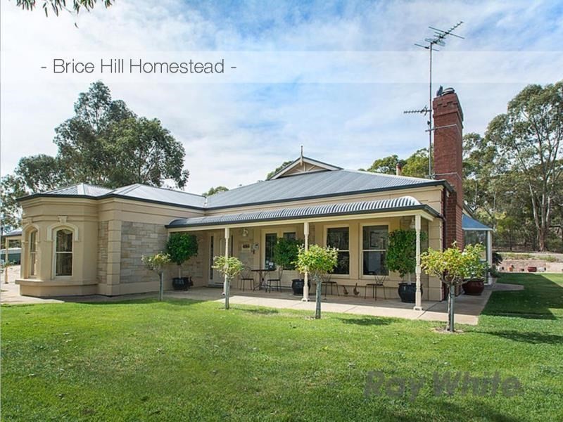 Brice Hill Country Lodge, Clare SA 5453