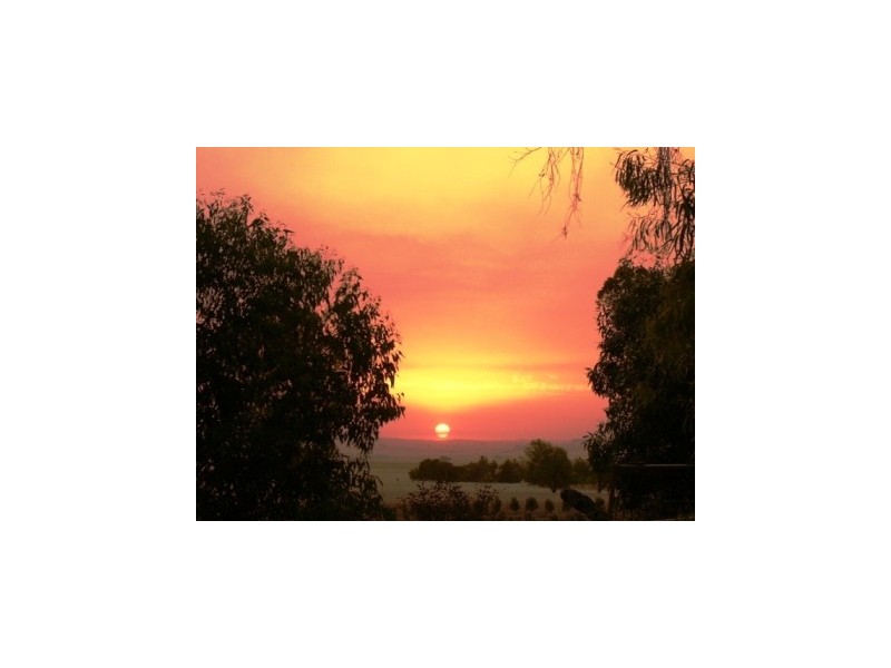 Lot 399 Napier Street, Farrell Flat SA 5416