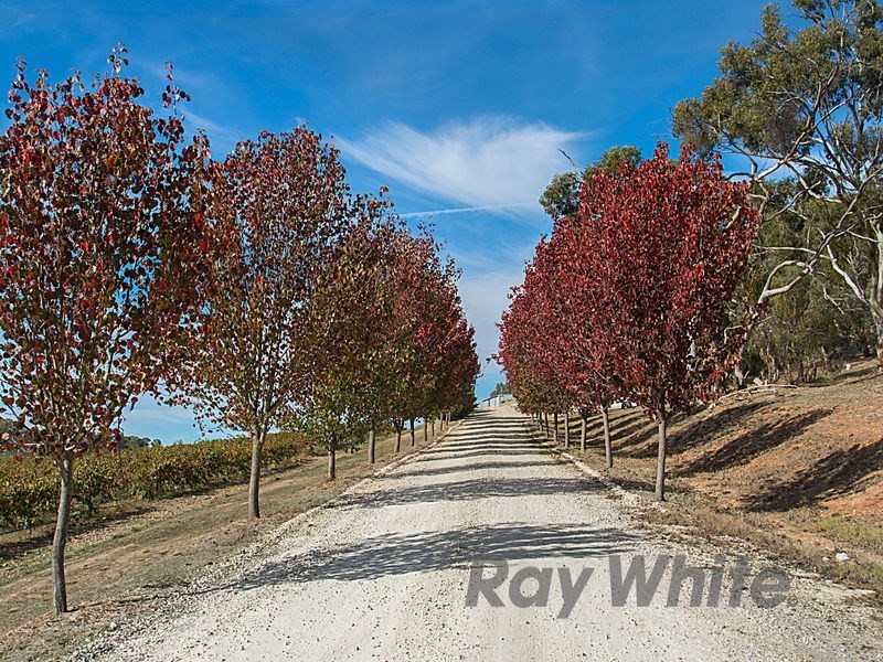 85 Willow Glen Road, Penwortham SA 5453