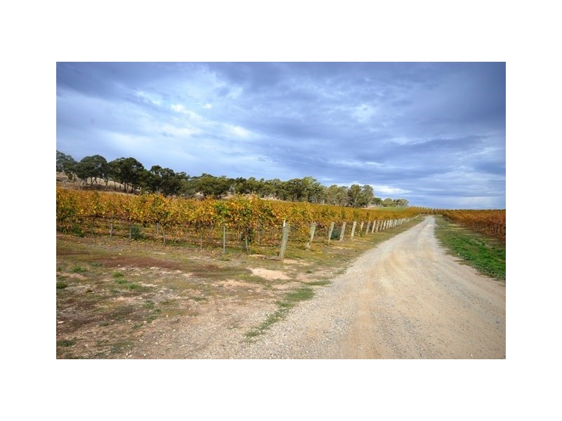 85a Willow Glen Road, Penwortham SA 5453