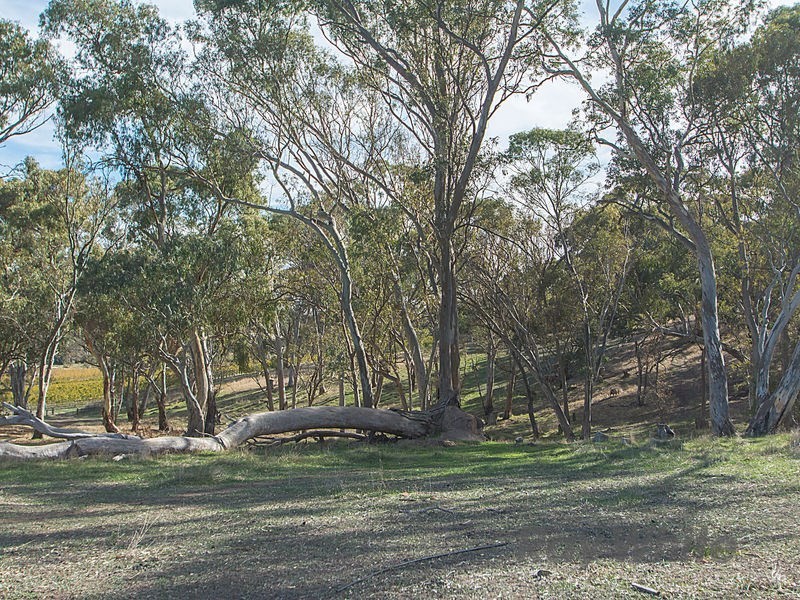 85a Willow Glen Road, Penwortham SA 5453