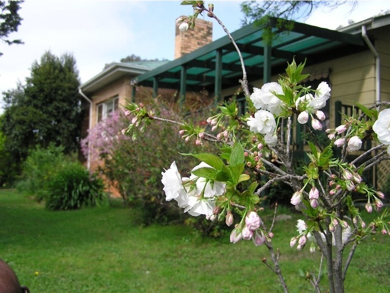 1 Stanley Place, Clare SA 5453