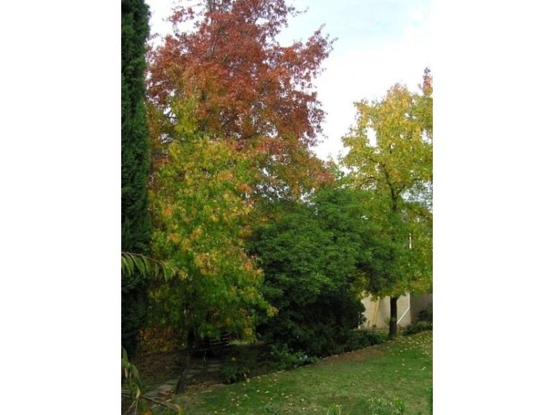 1 Stanley Place, Clare SA 5453