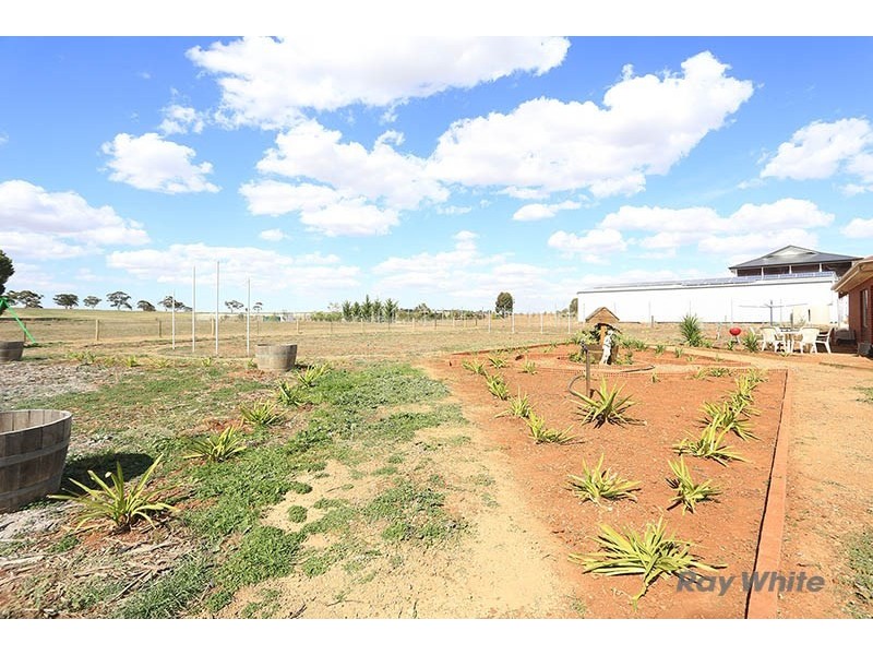 13 Globe Street, Auburn SA 5451