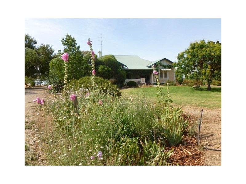 128 Moores Road, Auburn SA 5451