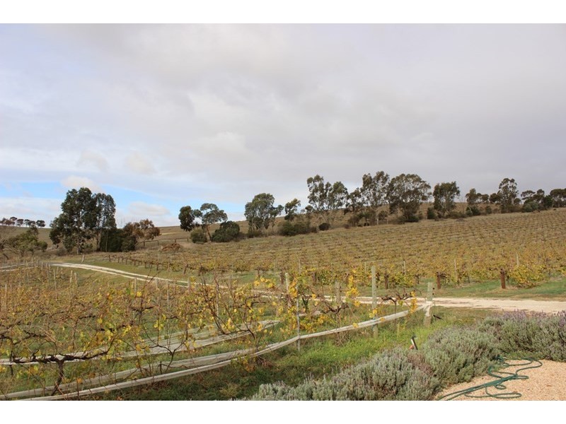 54 Smith Road, Leasingham SA 5452