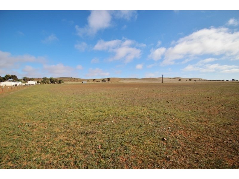 Lot 48 Government Road, Yongala SA 5493
