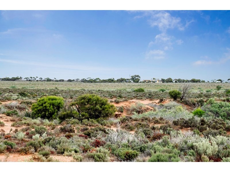 963 Denial Bay Road, Denial Bay SA 5690