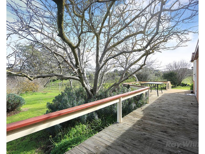 251 Blocks Road, Leasingham SA 5452