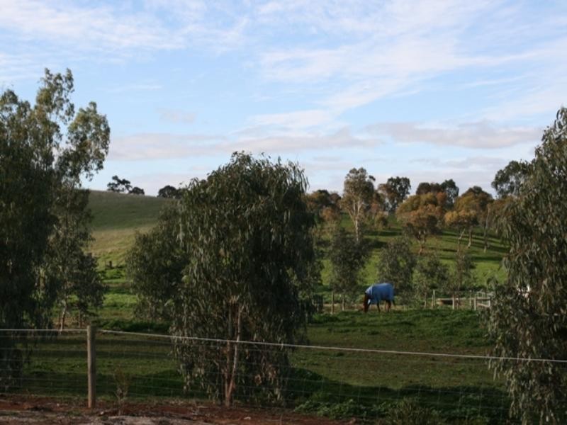 Lot 101 Main North Road, Auburn SA 5451