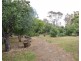 Lot 63 King Street, Mintaro SA 5415