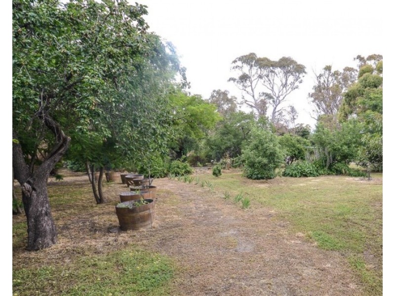 Lot 63 King Street, Mintaro SA 5415