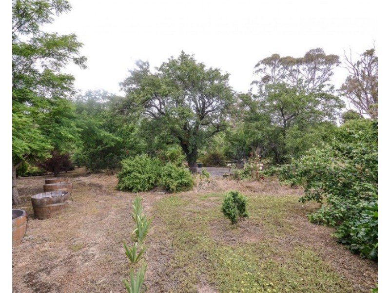 Lot 63 King Street, Mintaro SA 5415