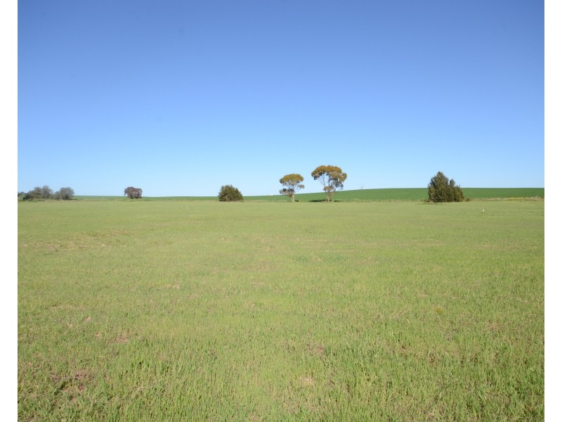 Lot 92 Saddleworth Road, Auburn SA 5451
