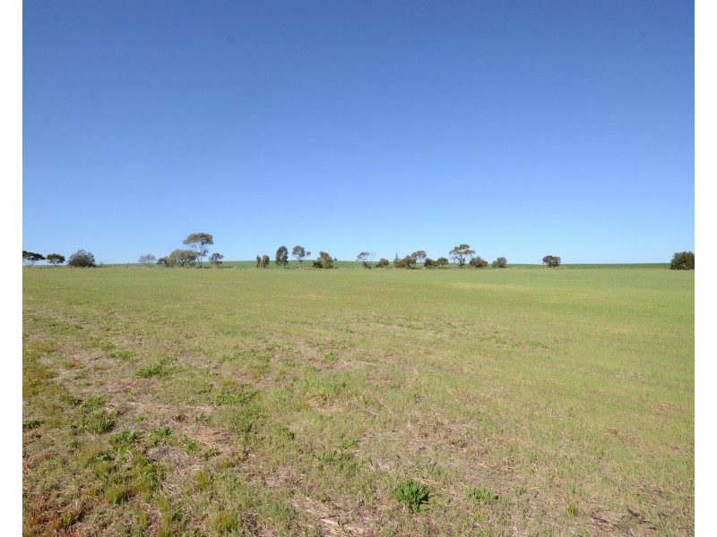 Lot 92 Saddleworth Road, Auburn SA 5451