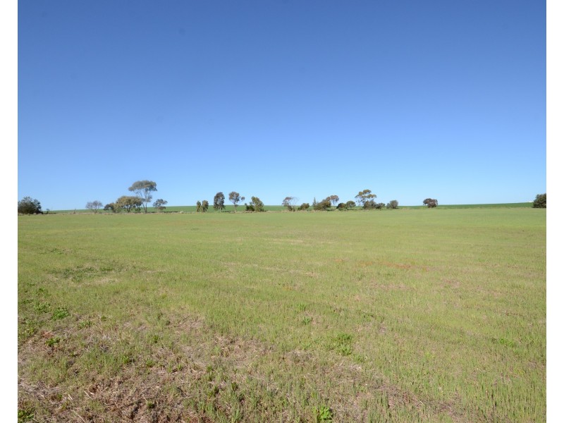Lot 92 Saddleworth Road, Auburn SA 5451