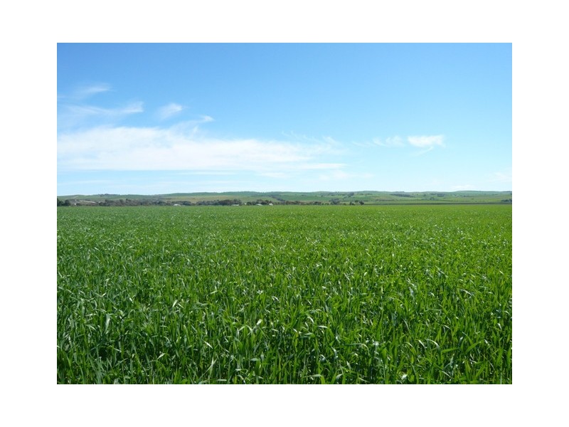 Sec 66and67 Pipeline Road, Yacka SA 5470