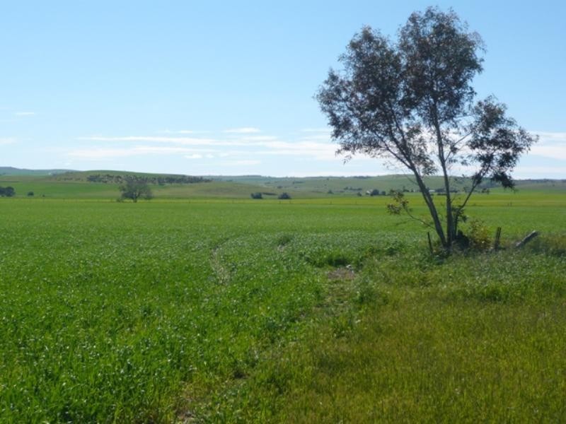 Sec 66and67 Pipeline Road, Yacka SA 5470