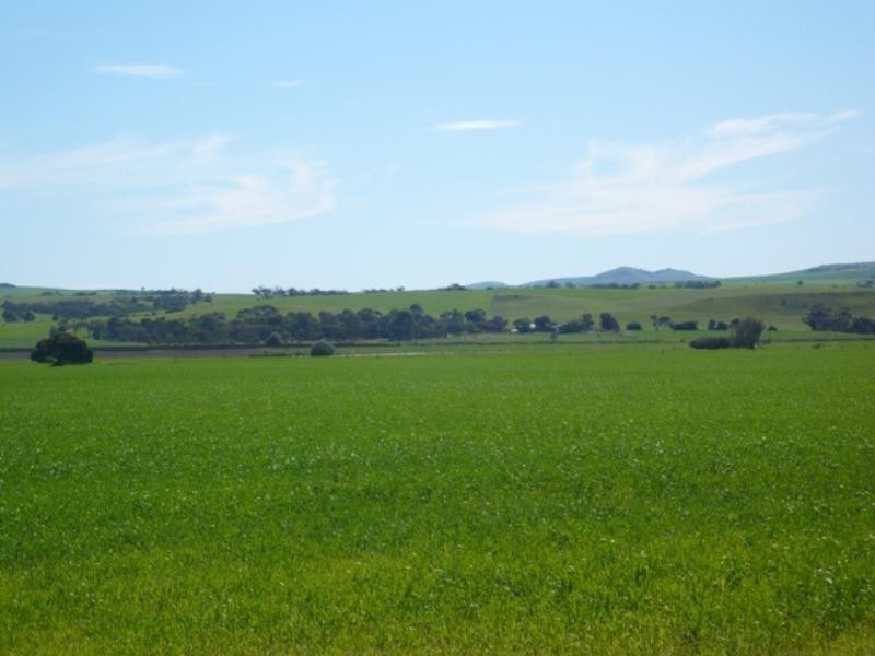 Sec 66and67 Pipeline Road, Yacka SA 5470