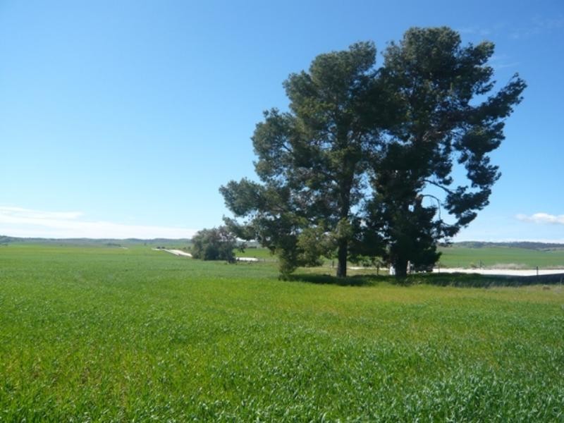 Sec 66and67 Pipeline Road, Yacka SA 5470
