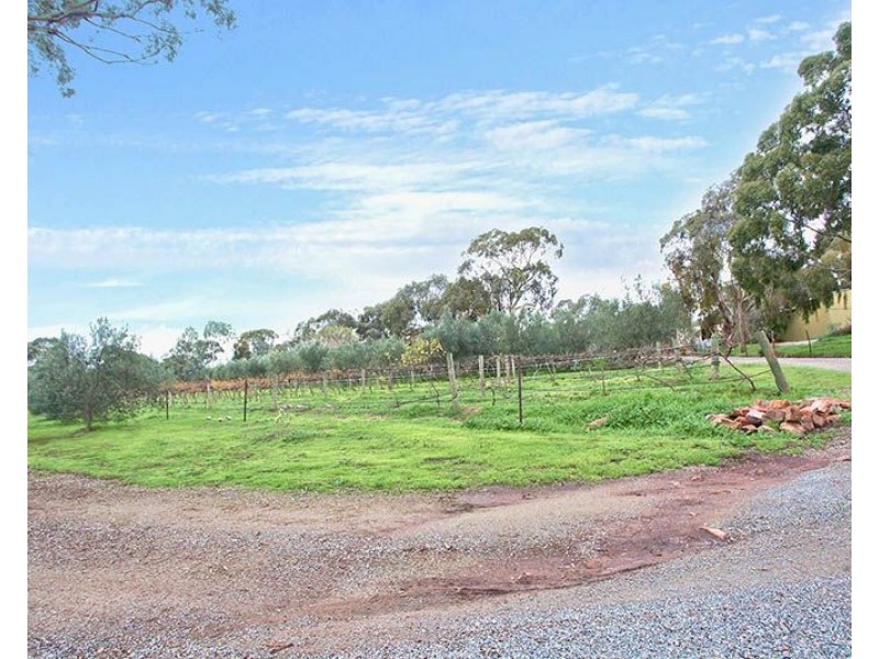 118 White Hut Road, Clare SA 5453
