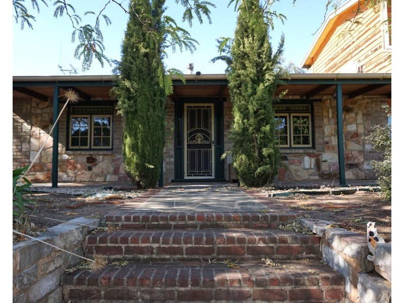 118 White Hut Road, Clare SA 5453