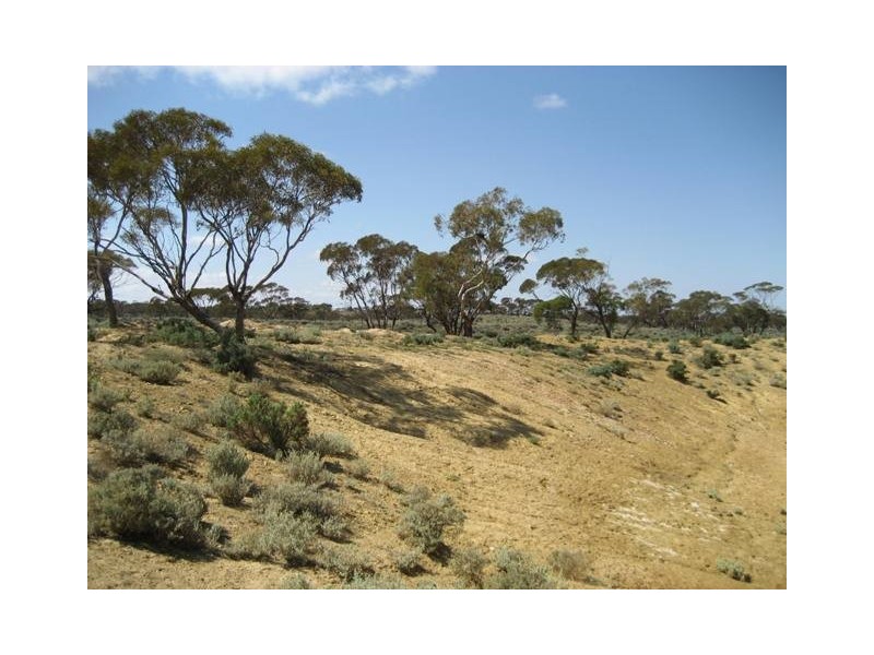 Sec 165 Govt Road, Burra Eastern Districts SA 5417