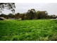 Lot 150 Church Street, Sevenhill SA 5453