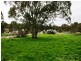 Lot 150 Church Street, Sevenhill SA 5453