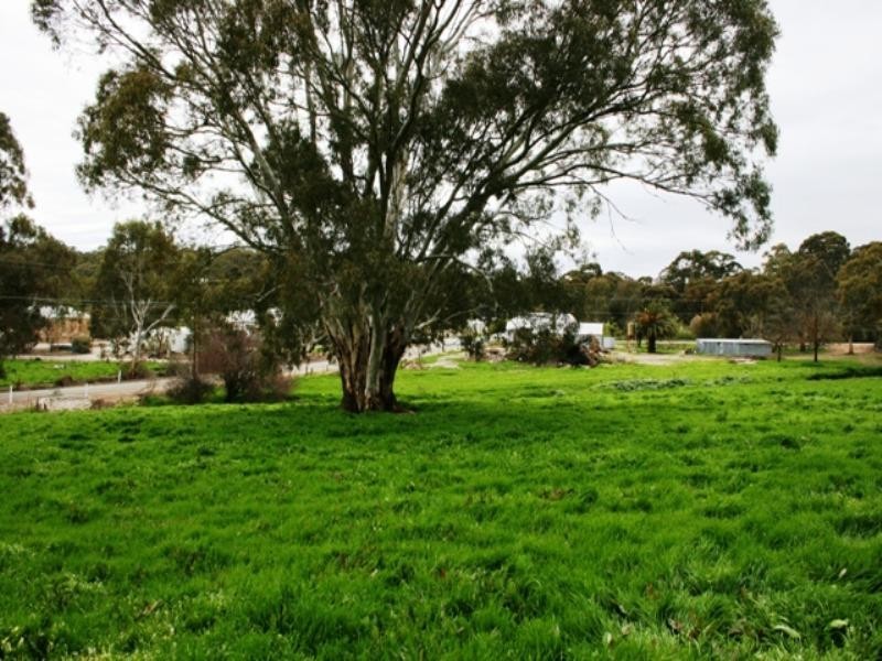 Lot 150 Church Street, Sevenhill SA 5453