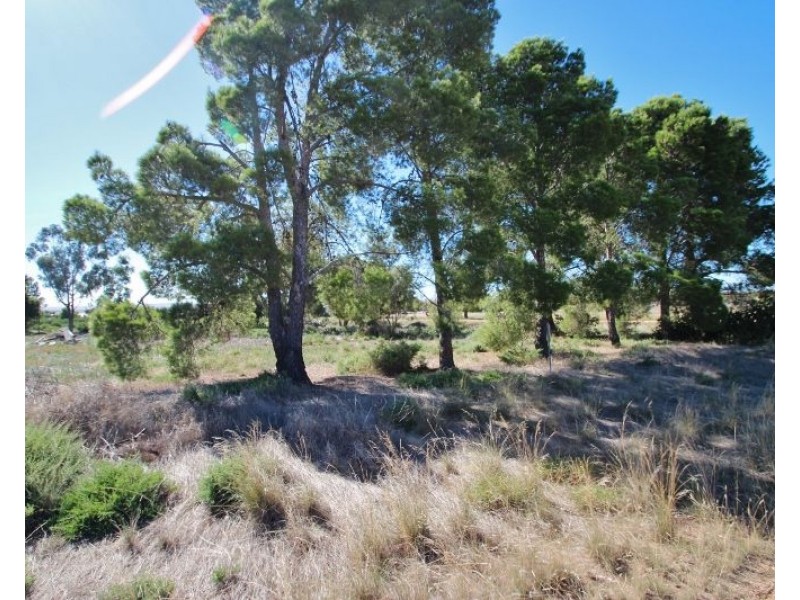 19-25 Robert Street, Lochiel SA 5510