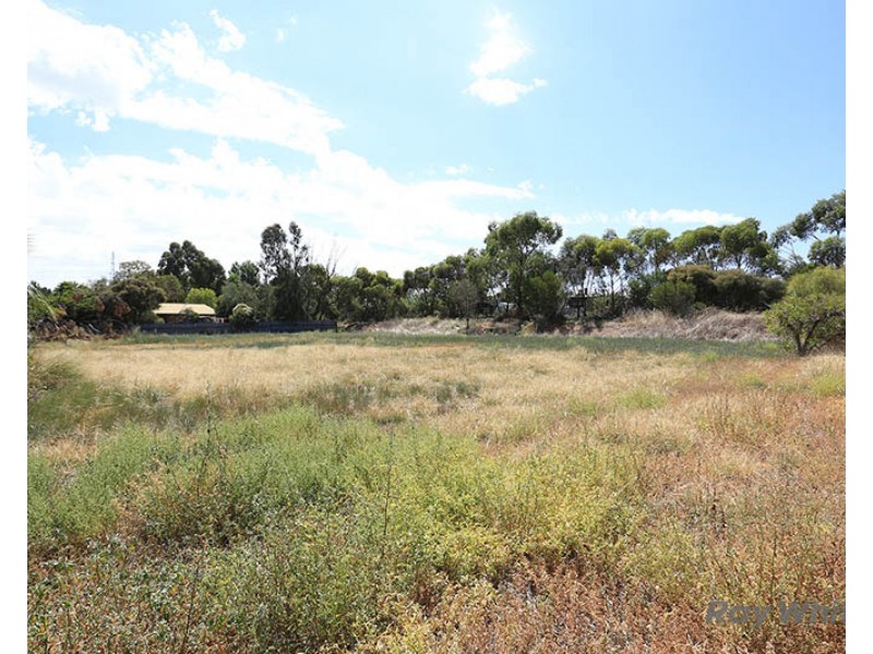 Lot 142 Moore Street, Blyth SA 5462