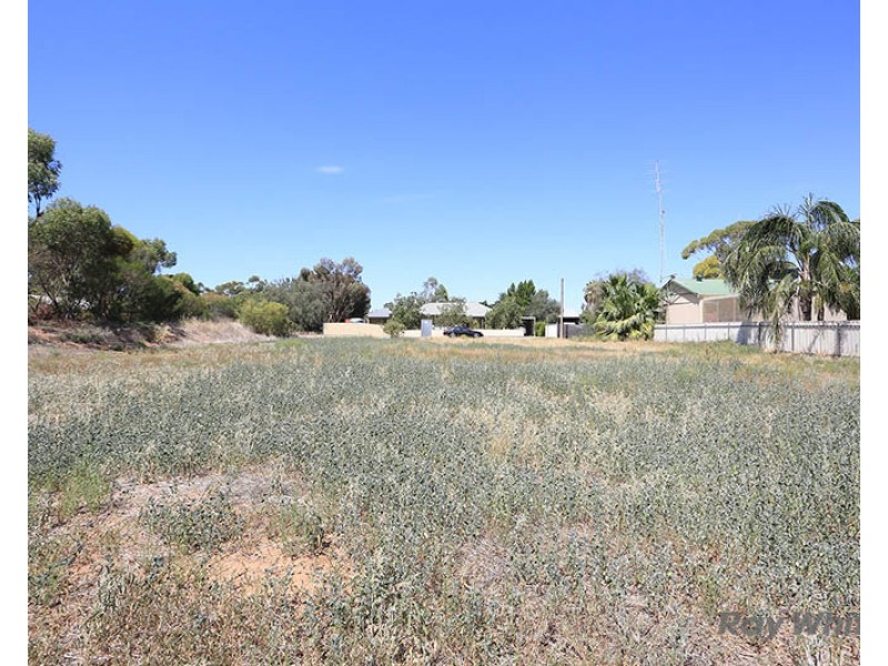 Lot 142 Moore Street, Blyth SA 5462