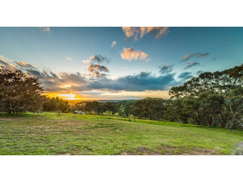 14 Nicklaus Court, Clare SA 5453