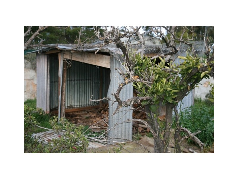 55-60 Sheila Street, Spalding SA 5454