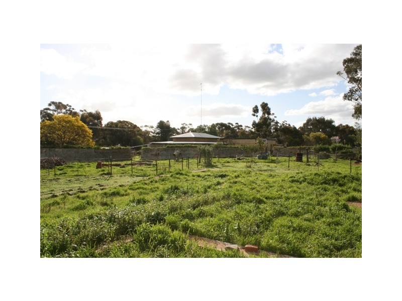 55-60 Sheila Street, Spalding SA 5454