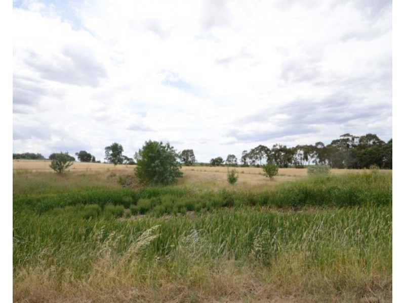 10 Kelly Road, Mintaro SA 5415