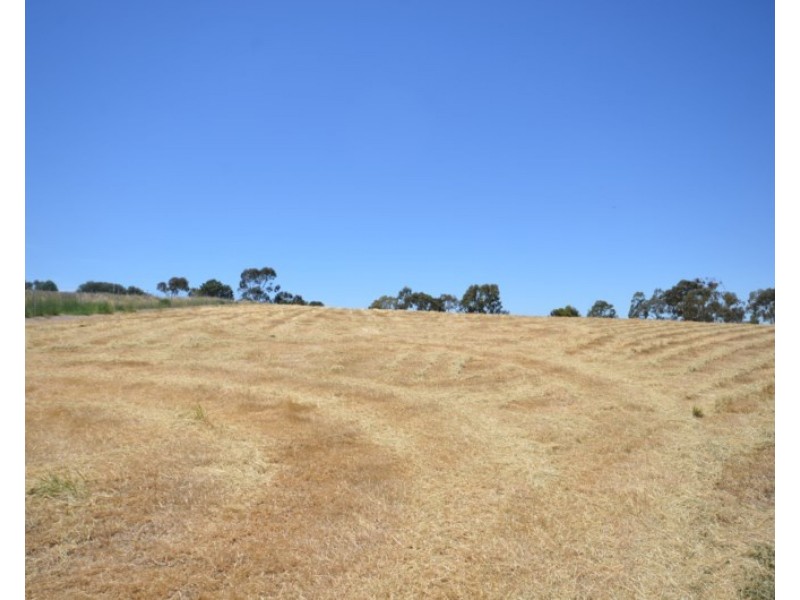 10 Kelly Road, Mintaro SA 5415