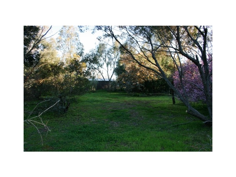 Lot 99 Elder Street, Auburn SA 5451