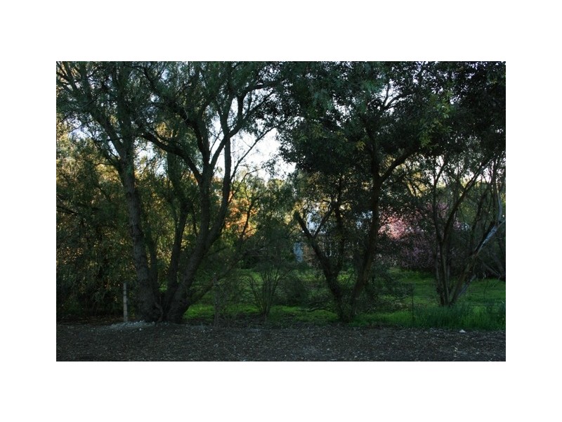 Lot 99 Elder Street, Auburn SA 5451