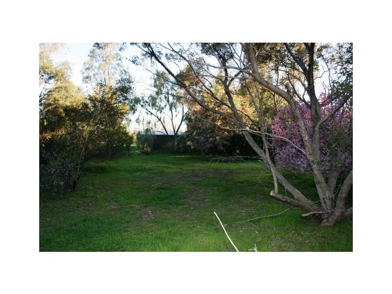 Lot 99 Elder Street, Auburn SA 5451