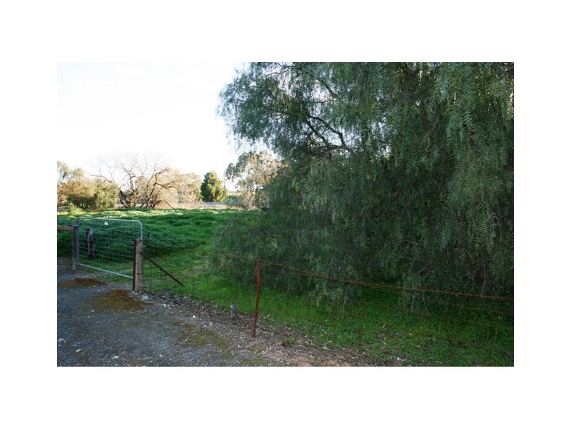 Lot 99 Elder Street, Auburn SA 5451