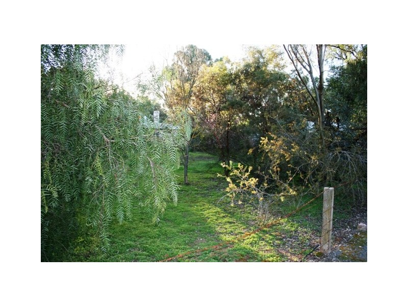 Lot 99 Elder Street, Auburn SA 5451