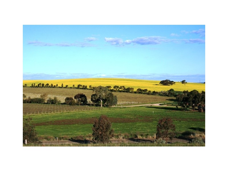 Lot 2 Taylors Road, Auburn SA 5451