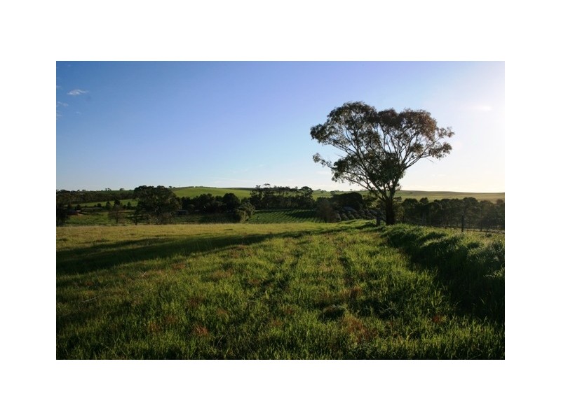 Lot 2 Taylors Road, Auburn SA 5451