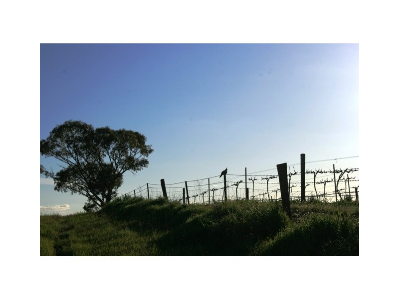 Lot 2 Taylors Road, Auburn SA 5451