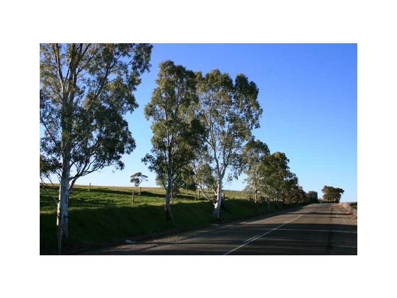 Lot 2 Taylors Road, Auburn SA 5451